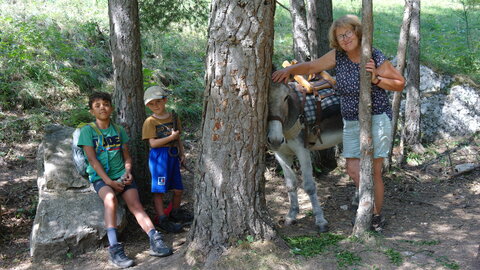 Aout25 Glandage anes, SAM_0271