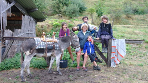 Aout25 Glandage anes, SAM_0354
