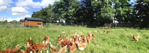 site ferme du val fleuri chambre d'hotes, pano bonne