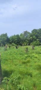 site ferme du val fleuri chambre d'hotes, début foret jardin