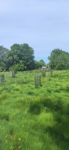 site ferme du val fleuri chambre d'hotes, debut foret jardin2