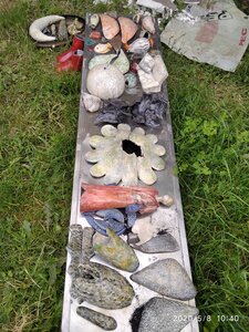 Sculptures, IMG_20200508_104011_1
