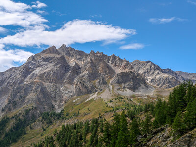 04-05-09-25 Thabor, P1098567