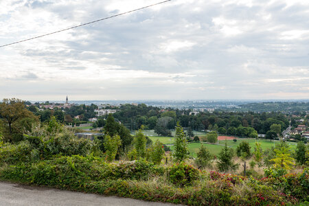 OPP, OPP_097