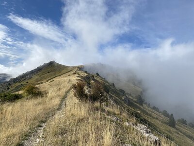 La Sapie-La Montagne-Col Haut-Vallon de la Sapie, IMG_2695