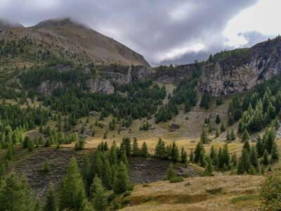 11-09-25 Rouanne, P1098708