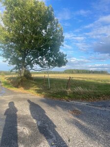 Marche 19-10-2025, IMG_0932