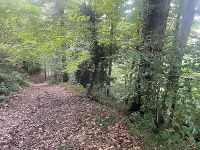 Marche 19-10-2025, IMG_0935