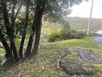 Marche 19-10-2025, IMG_0936