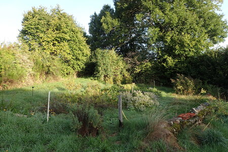 Le jardin du Phaux, 2025-09-17_0004