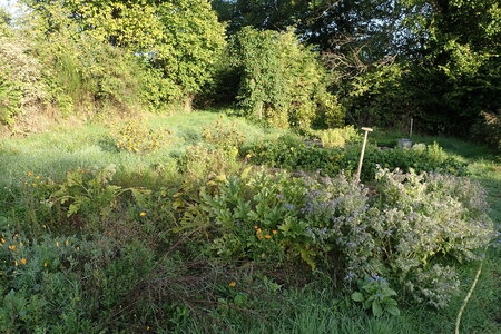 Le jardin du Phaux, 2025-09-17_0005