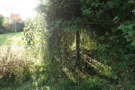 Le jardin du Phaux, 2025-09-17_0008