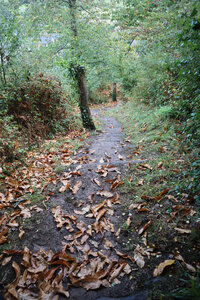 2025_09_02 Dol-de-Bretagne - Cancale, IMG_9897_La descente du Mont Dol
