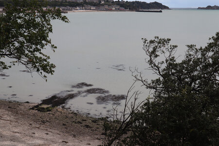 2025_09_02 Dol-de-Bretagne - Cancale, IMG_9938_Entre Saint-Méloir et Cancale