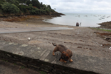 2025_09_03_Cancale - La Guimorais, IMG_19988_Port-Picain