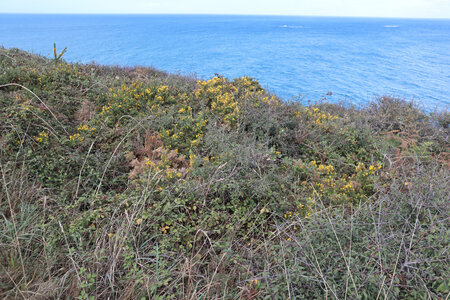 2025_09_03_Cancale - La Guimorais, IMG_20081_La pointe du Meinga