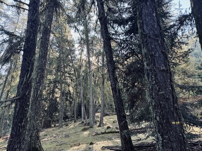 Ancelle - La Pinouse, FullSizeRender 2 
