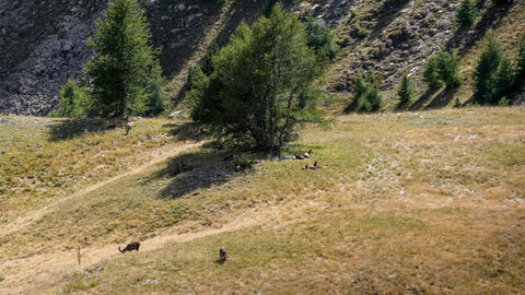 25-09-25-Cayolle, P1099078