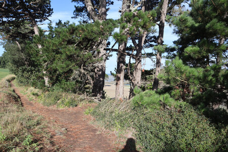 2025_09_04 La Guimorais - Saint-Malo, IMG_0092_Le sentier le long du Lupin