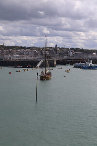 2025_09_04 La Guimorais - Saint-Malo, IMG_0228_Le Renard