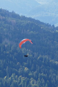 Samoëns 2025, P1060501