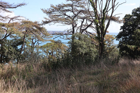 2025_09_05 Jersey de St-Helier à La Corbiere, IMG_0260_Entre Saint-Aubin et la pointe de Noirmont