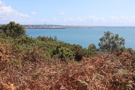 2025_09_05 Jersey de St-Helier à La Corbiere, IMG_0263_Entre Saint-Aubin et la pointe de Noirmont