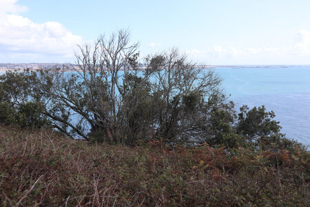 2025_09_05 Jersey de St-Helier à La Corbiere, IMG_0265_Entre Saint-Aubin et la pointe de Noirmont