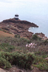 2025_09_05 Jersey de St-Helier à La Corbiere, IMG_0269_La pointe de Noirmont