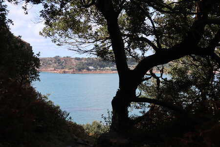2025_09_05 Jersey de St-Helier à La Corbiere, IMG_0283_L’approche de Ouaisne