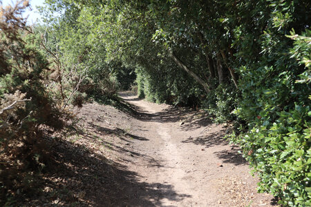 2025_09_05 Jersey de St-Helier à La Corbiere, IMG_0292_Le sentier vers La Grosse Tete
