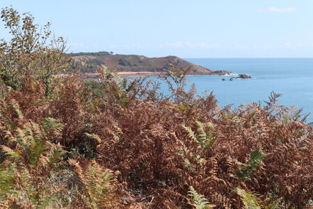 2025_09_05 Jersey de St-Helier à La Corbiere, IMG_0294_La pointe de La Fret depuis Beauport