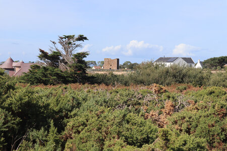 2025_09_05 Jersey de St-Helier à La Corbiere, IMG_0305_La Lande de l’Ouest