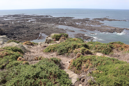 2025_09_06 Jersey de La Corbiere à Devil's Hole, IMG_0338_Les Landes