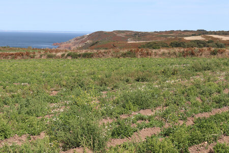 2025_09_06 Jersey de La Corbiere à Devil's Hole, IMG_0363_La baie de Crabbe