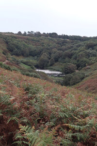 2025_09_07 Jersey de Devil's Hole à St-Catherine, IMG_0376_La vallée du Mourier