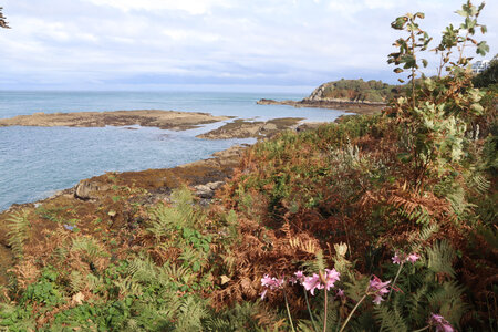 2025_09_07 Jersey de Devil's Hole à St-Catherine, IMG_0407_La baie de Saie