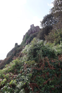 2025_09_08 Jersey de St-Catherine à St-Helier, IMG_0441_Mont Orgueil