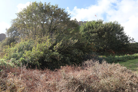 2025_09_08 Jersey de St-Catherine à St-Helier, IMG_0442_Mont Orgueil