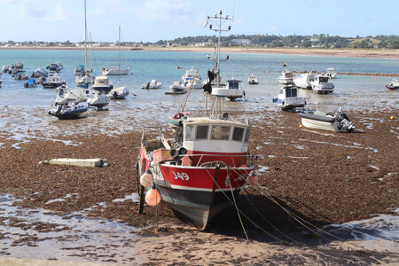 2025_09_08 Jersey de St-Catherine à St-Helier, IMG_0454_Gorey