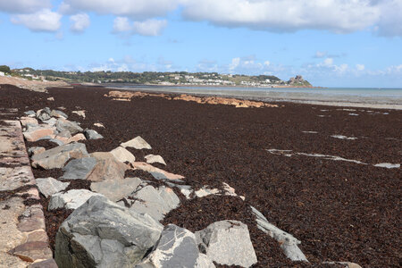 2025_09_08 Jersey de St-Catherine à St-Helier, IMG_0466_La baie de Grouville