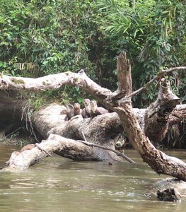 TALWAKEM 2025, J3 - Famille Loutres