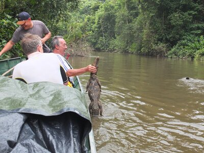 TALWAKEM 2025, J5 - Crocodile Bruno