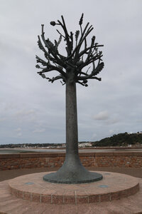 2025_09_09 St Helier, IMG_0541_L’Arbre de la Liberté