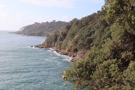 2025_09_11 Guernesey de St Peter Port à Torteval, IMG_0597_Entre Bluebell Wood et la baie Fermain