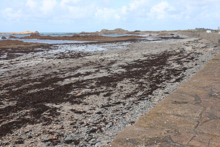 2025_09_12 Guernesey de Torteval à Port Soif, IMG_0739_La plage de Cobo