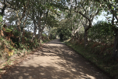 2025_09_13 Sark, IMG_0765_Rue du Fort
