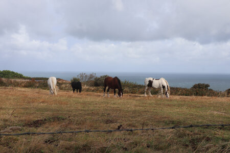 2025_09_13 Sark, IMG_0766_La Tour