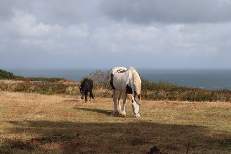 2025_09_13 Sark, IMG_0768_La Tour