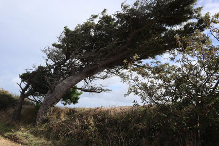2025_09_13 Sark, IMG_0770_De la Ruette du Fort à la pointe nord